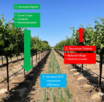 Frontiers Site characteristics determine the effectiveness of